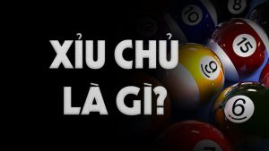 Xỉu chủ là gì, xỉu chủ miền Nam có mấy loại